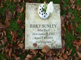 image number Sunley Billy 236